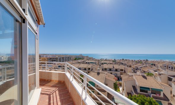 Apartament - Revânzare - Guardamar del Segura -
                Costa Blanca