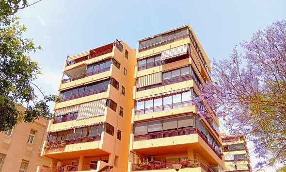 Apartamento - Segunda mano - Alicante -
                Costa Blanca