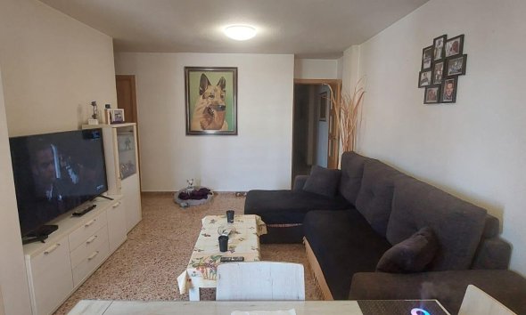 Apartamento - Segunda mano - Benidorm -
                Colonia Madrid