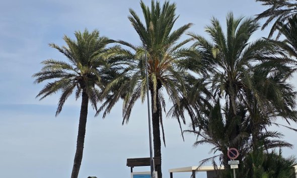 Apartamento - Segunda mano - Orihuela Costa - Altos De Campoamor
