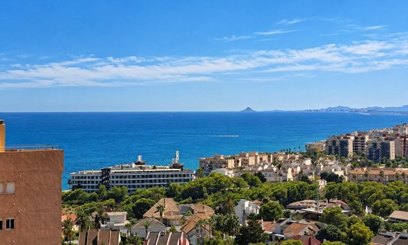 Apartamento - Segunda mano - Orihuela Costa -
                Campoamor
