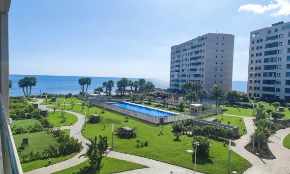 Apartamento - Segunda mano - Orihuela Costa -
                Punta Prima