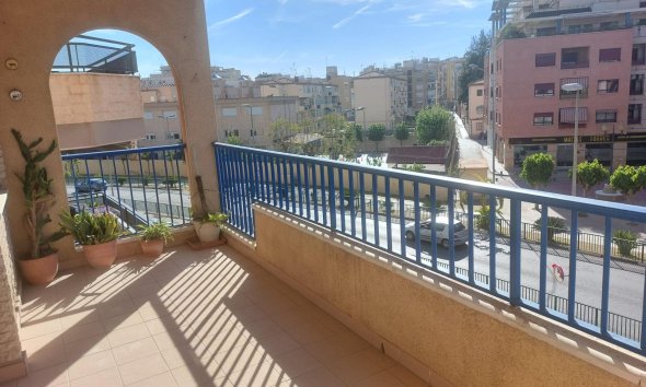 Apartamento - Segunda mano - Orihuela -
                Zona Centro