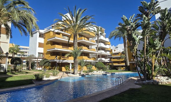 Apartamento - Segunda mano - Punta Prima -
                Costa Blanca
