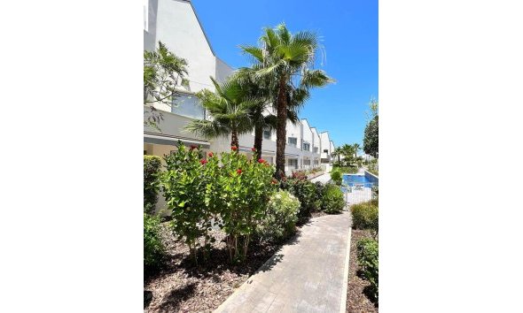 Apartamento - Segunda mano - Torrevieja -
                Costa Blanca