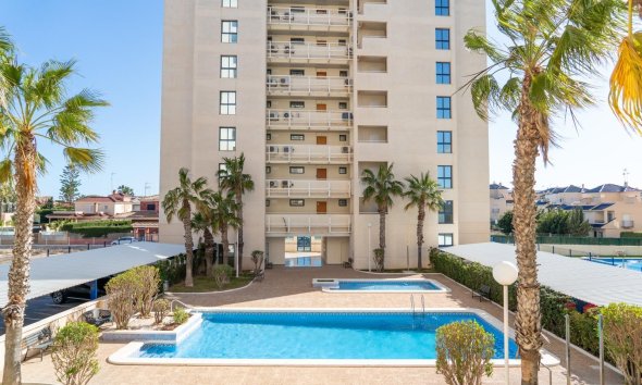 Apartamento - Segunda mano - Torrevieja -
                La Veleta