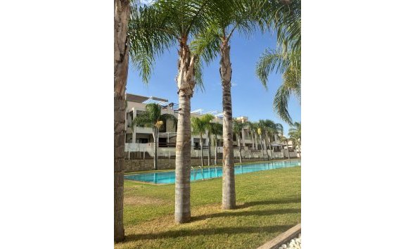 Apartamento - Segunda mano - Torrevieja -
                Los Balcones