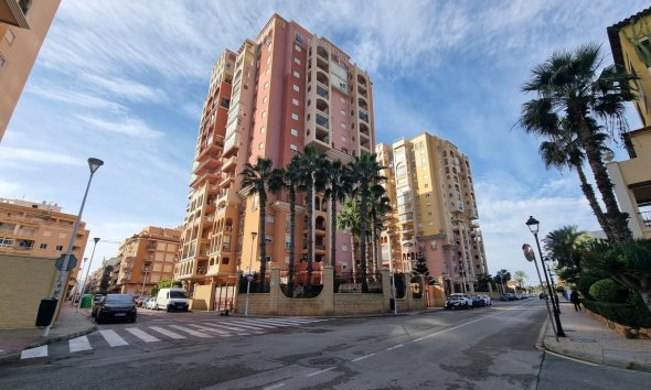 Apartamento - Segunda mano - Torrevieja -
                Los Frutales