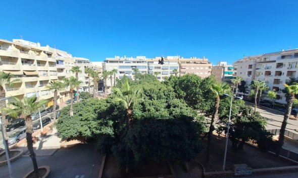 Apartamento - Segunda mano - Torrevieja -
                Playa del Cura