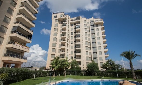 Apartman - Használt Ingatlanok - Guardamar del Segura - Costa Blanca