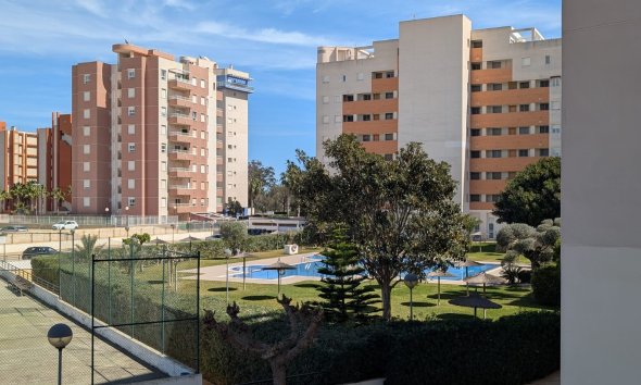 Apartman - Használt Ingatlanok - Guardamar del Segura - Costa Blanca