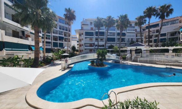 Apartman - Használt Ingatlanok - La Mata - Costa Blanca
