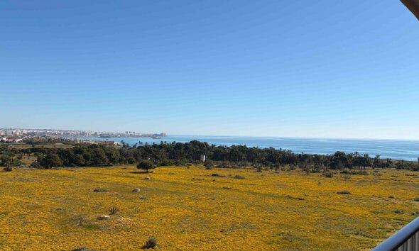 Apartman - Használt Ingatlanok - Orihuela Costa - Costa Blanca