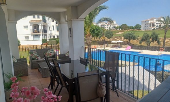 Apartman - Használt Ingatlanok - Sucina -
                Inland