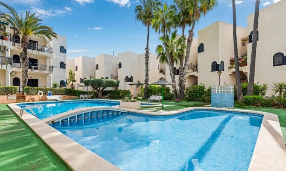 Apartman - Használt Ingatlanok - Torrevieja -
                Cabo Cervera
