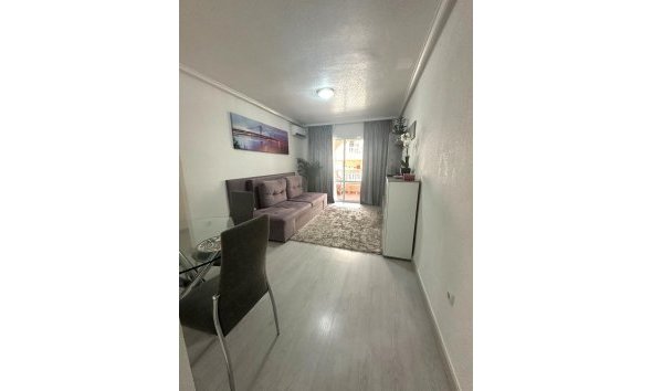 Apartman - Használt Ingatlanok - Torrevieja - Centro