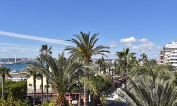 Apartman - Használt Ingatlanok - Torrevieja - Costa Blanca