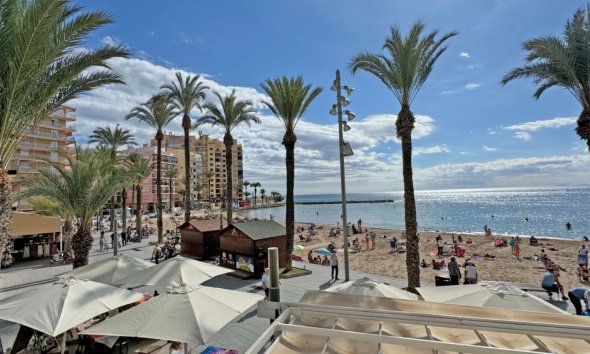 Apartman - Használt Ingatlanok - Torrevieja - Costa Blanca