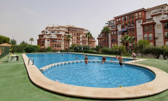 Apartman - Használt Ingatlanok - Torrevieja - Costa Blanca