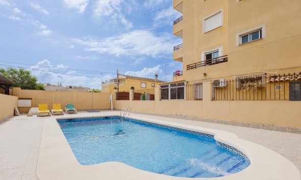 Apartman - Használt Ingatlanok - Torrevieja -
                Costa Blanca