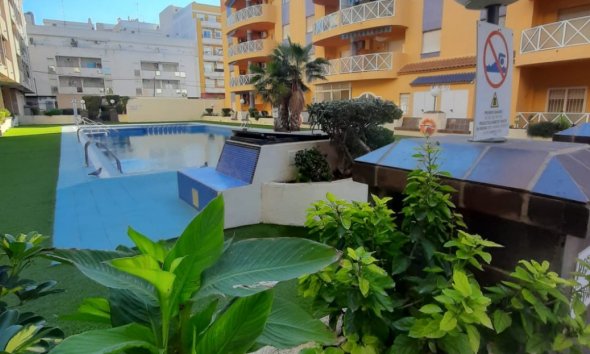 Apartman - Használt Ingatlanok - Torrevieja - Costa Blanca