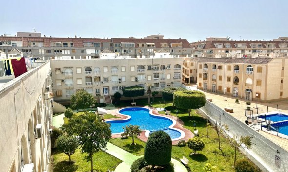 Apartman - Használt Ingatlanok - Torrevieja - Costa Blanca