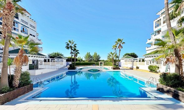 Apartman - Használt Ingatlanok - Torrevieja - Costa Blanca