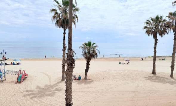 Apartman - Használt Ingatlanok - Torrevieja - La Mata