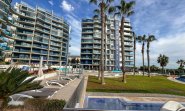 Apartman - Használt Ingatlanok -
                Torrevieja - MLSC3316950