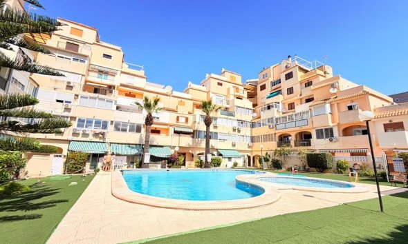 Apartman - Használt Ingatlanok - Torrevieja -
                Nueva Torrevieja