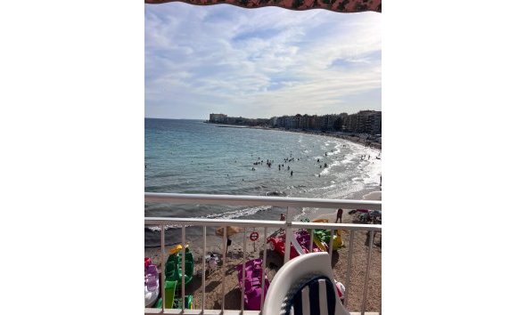 Apartman - Használt Ingatlanok - Torrevieja -
                Playa de los Locos