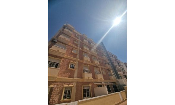Apartman - Használt Ingatlanok - Torrevieja - Torrevieja