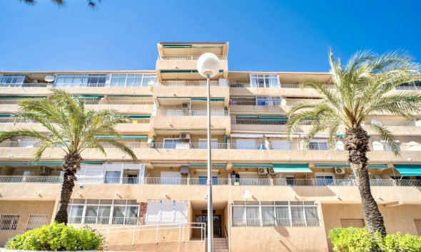 Apartment - Resale - Guardamar del Segura -
                Costa Blanca