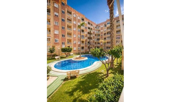 Apartment - Resale - Torrevieja -
                Costa Blanca