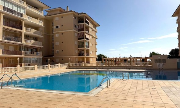 Apartment - Resale - Torrevieja -
                Los Europeos