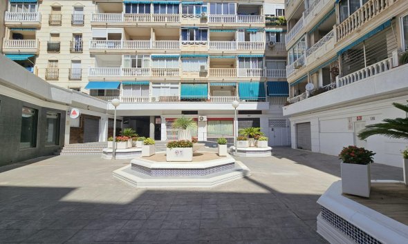 Apartment - Resale - Torrevieja -
                Playa de los Locos