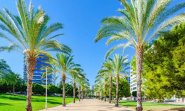 Apartment - Resale -
                Villajoyosa - MLSC2647539
