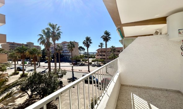 Appartement - Revente - Guardamar del Segura - Costa Blanca
