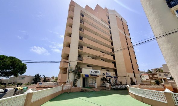 Appartement - Revente - La Mata -
                Costa Blanca