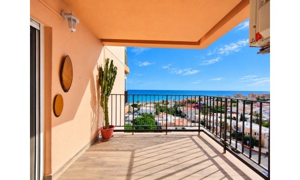 Appartement - Revente - Torrevieja -
                Costa Blanca