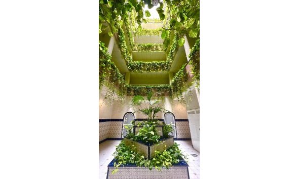 Attique - Revente - Torrevieja - Centro