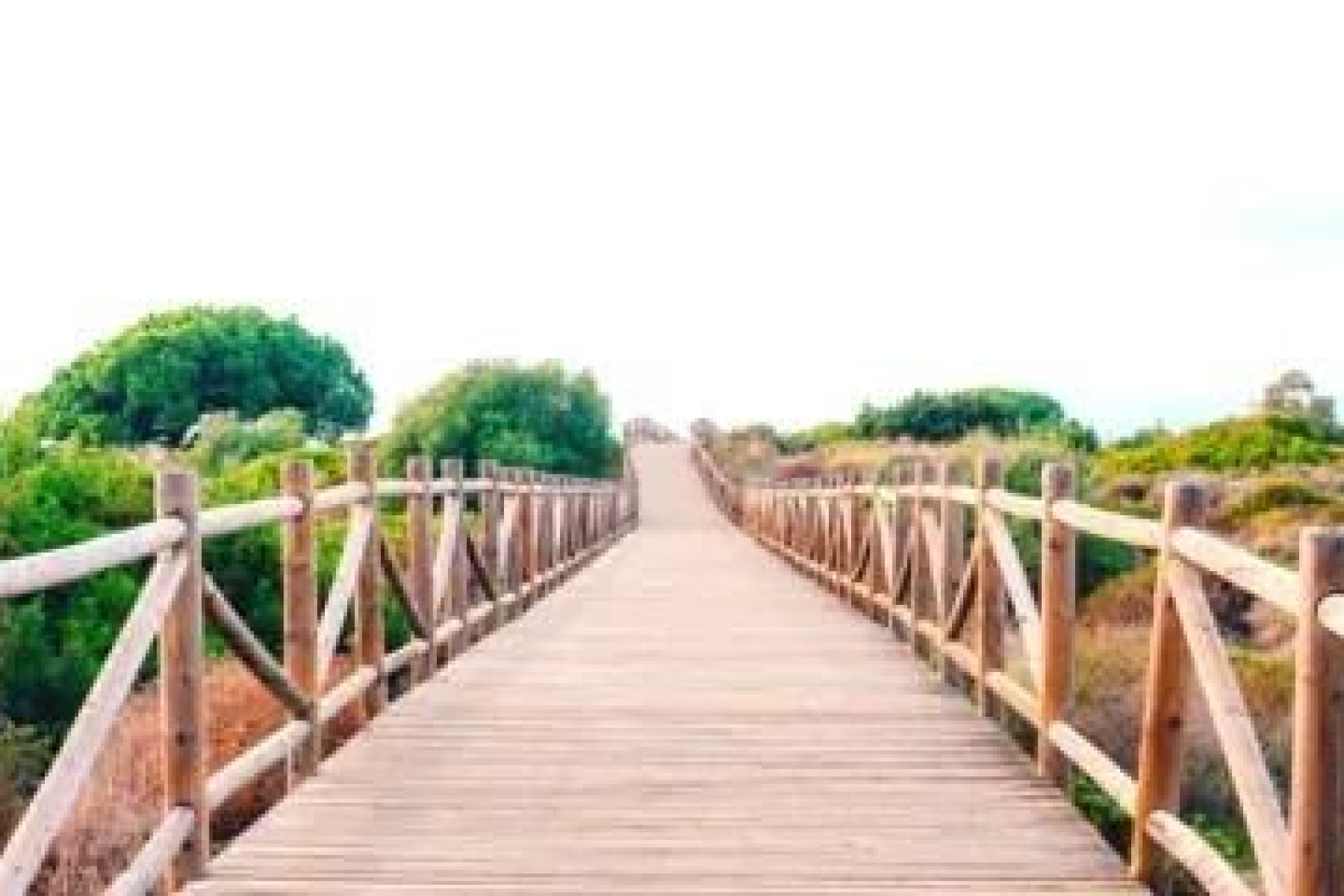 Construcție nouă - Apartament -
Marbella - Cabopino