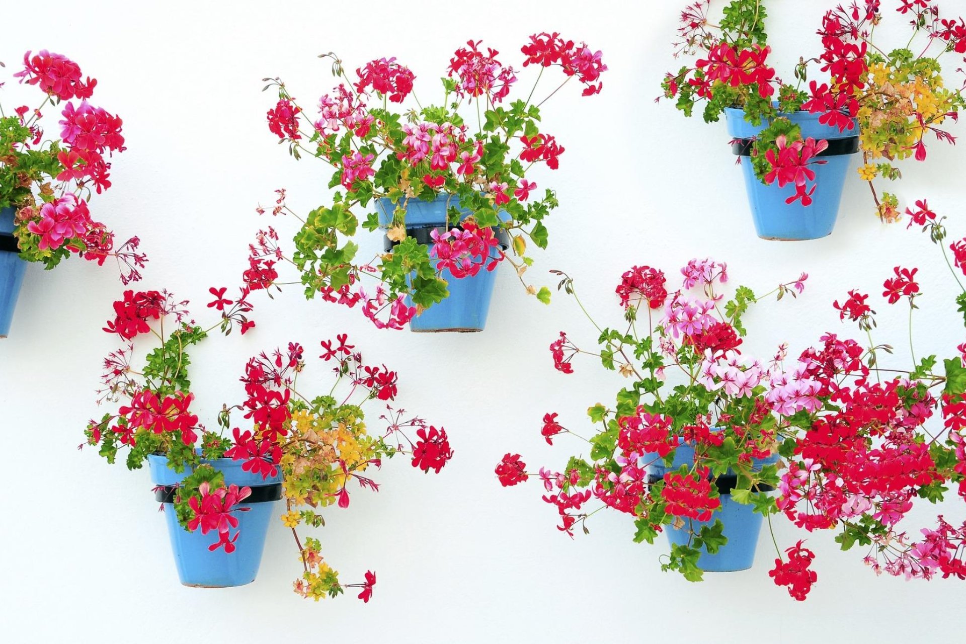 Construcție nouă - Apartament -
Mijas - La Noria Golf