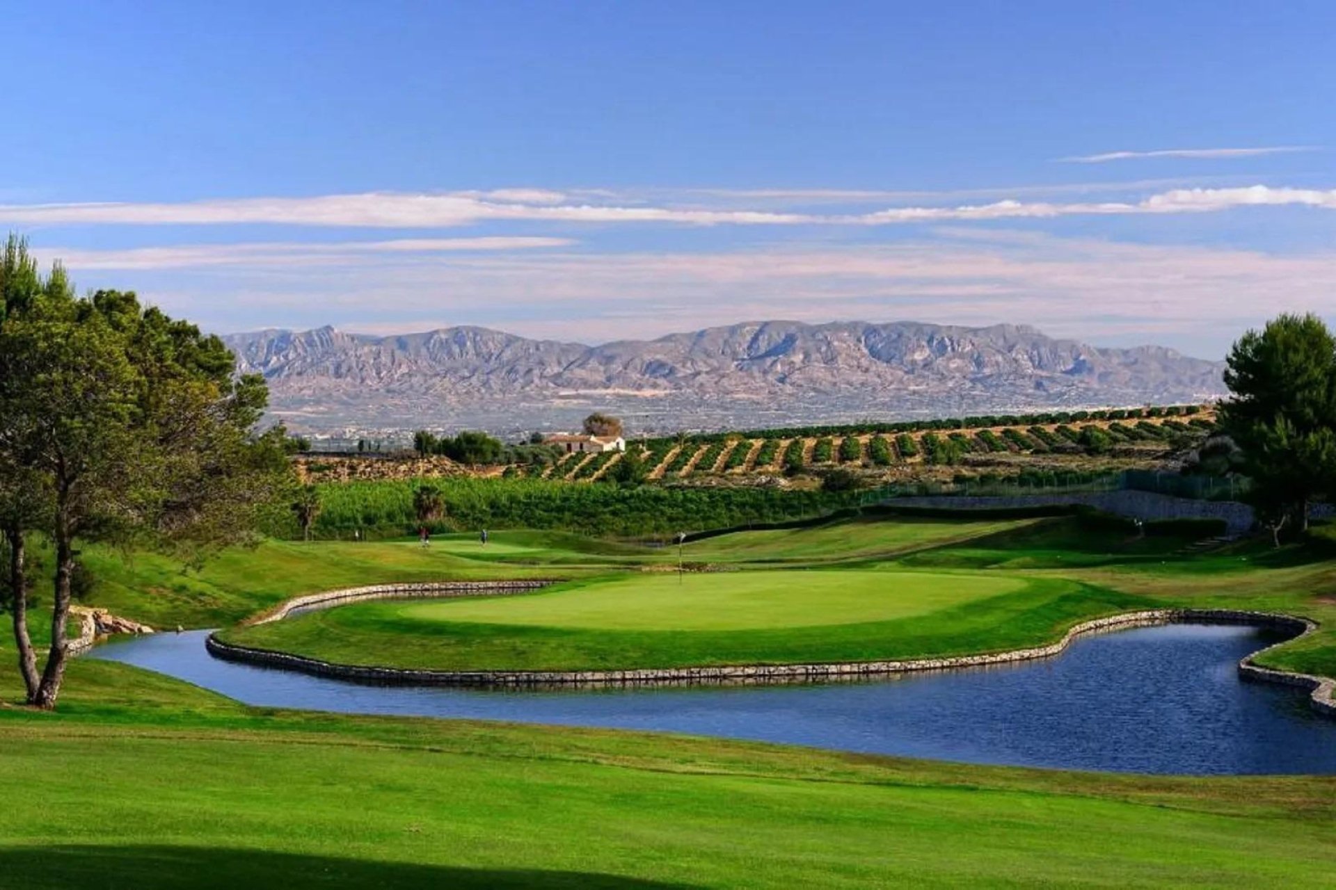 Construcție nouă - Bungalou -
Algorfa - La Finca Golf