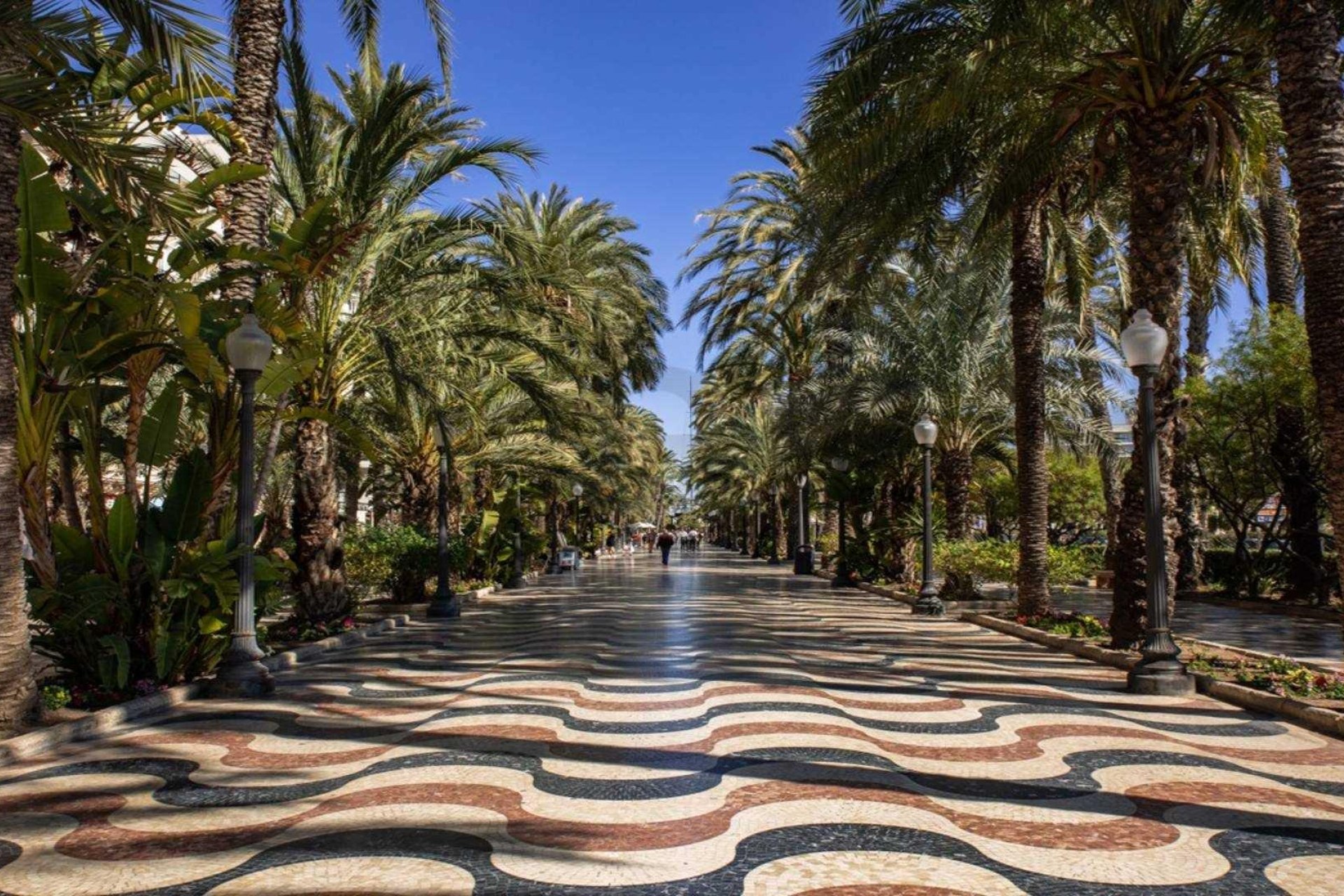 Construcție nouă - Mansardă -
Alicante - Centro