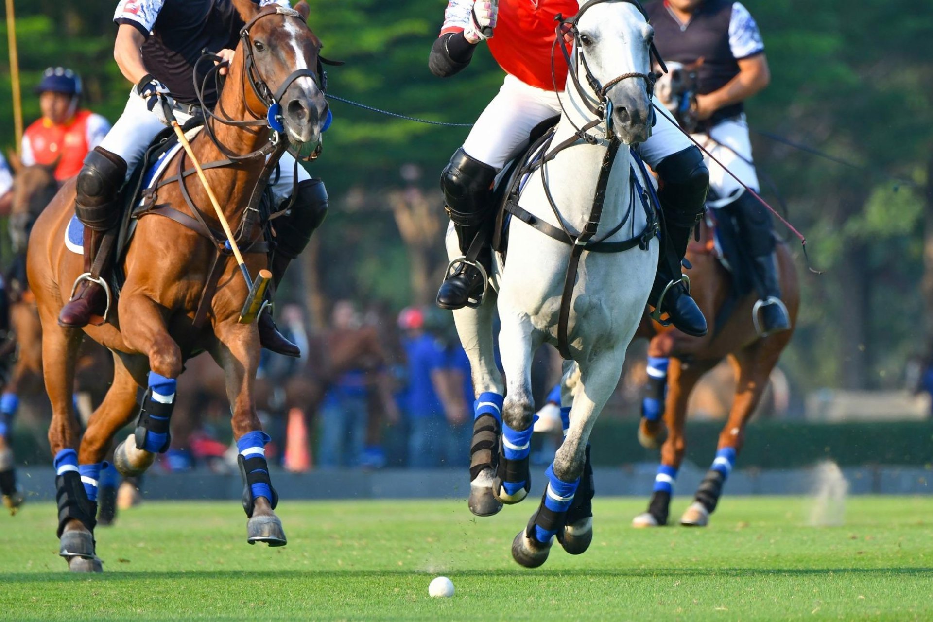 Construcție nouă - Mansardă -
Manilva - Bahia De Las Rocas