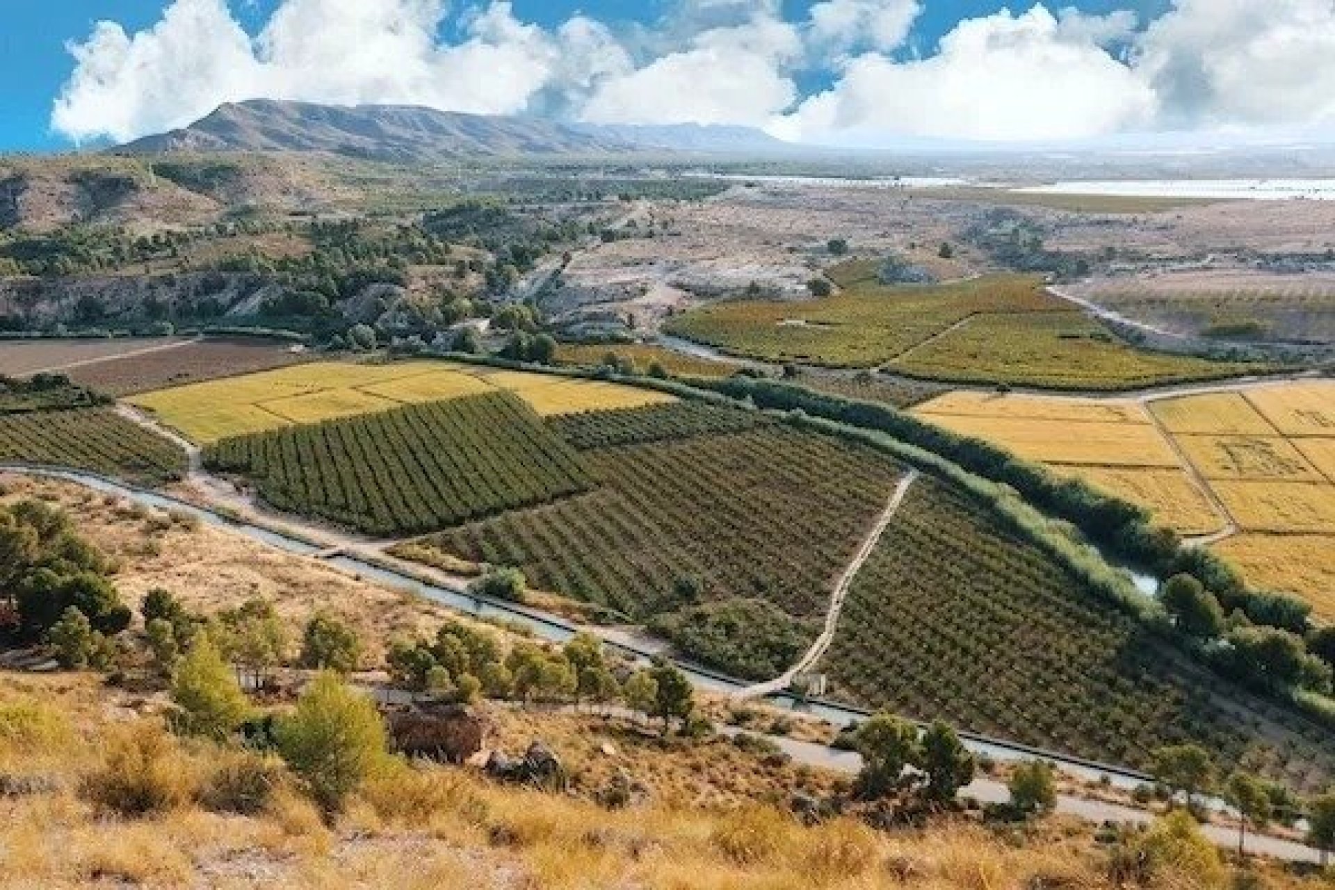 Construcție nouă - Vilă -
Calasparra - Coto Riñales
