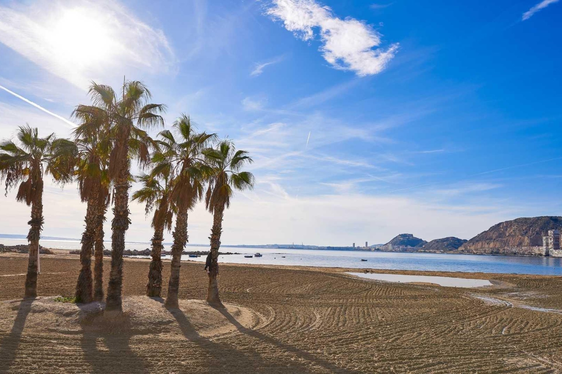 Construcție nouă - Vilă -
Els Poblets - Partida Barranquets