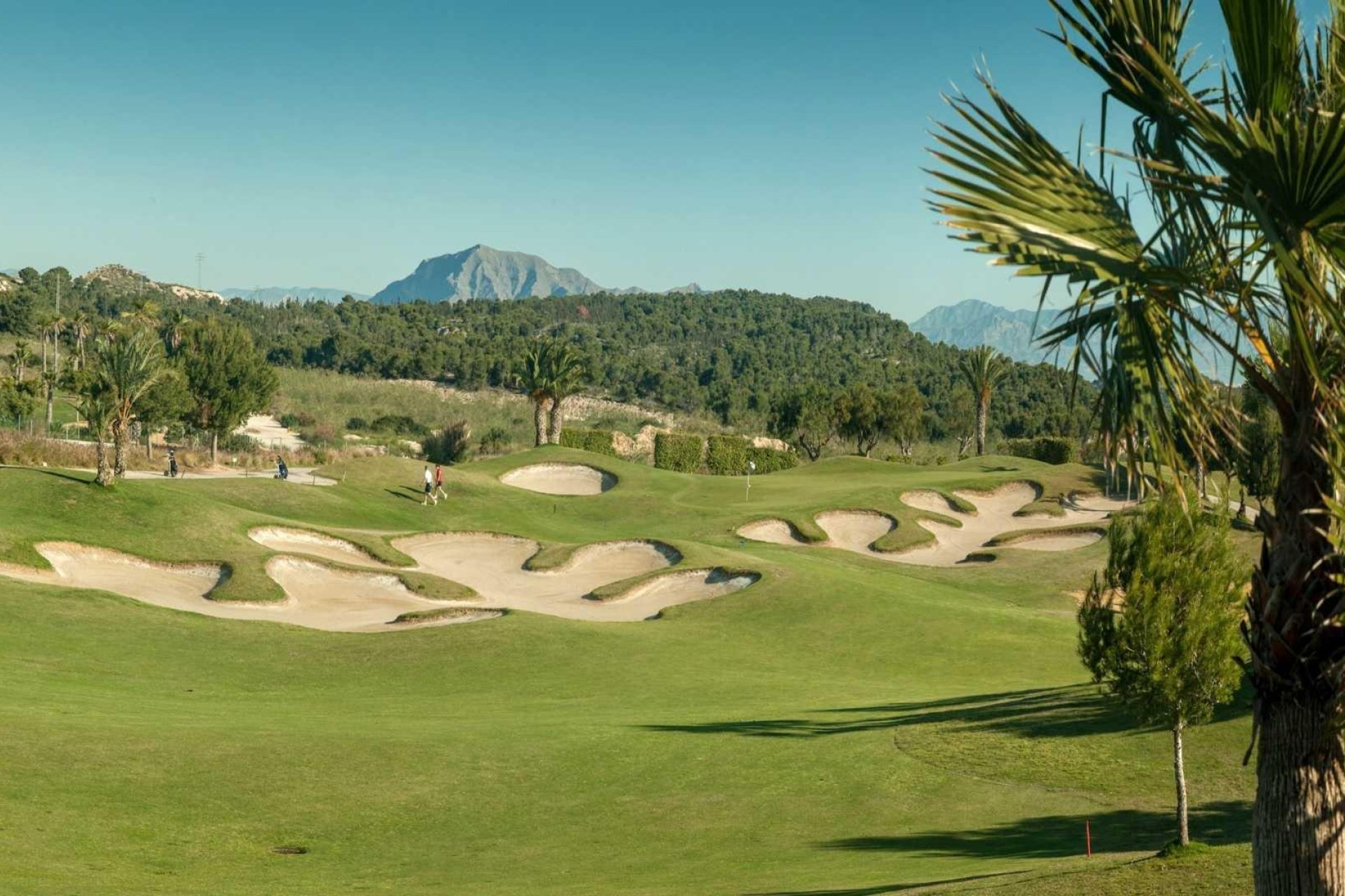 Construcție nouă - Vilă -
Orihuela - Vistabella Golf