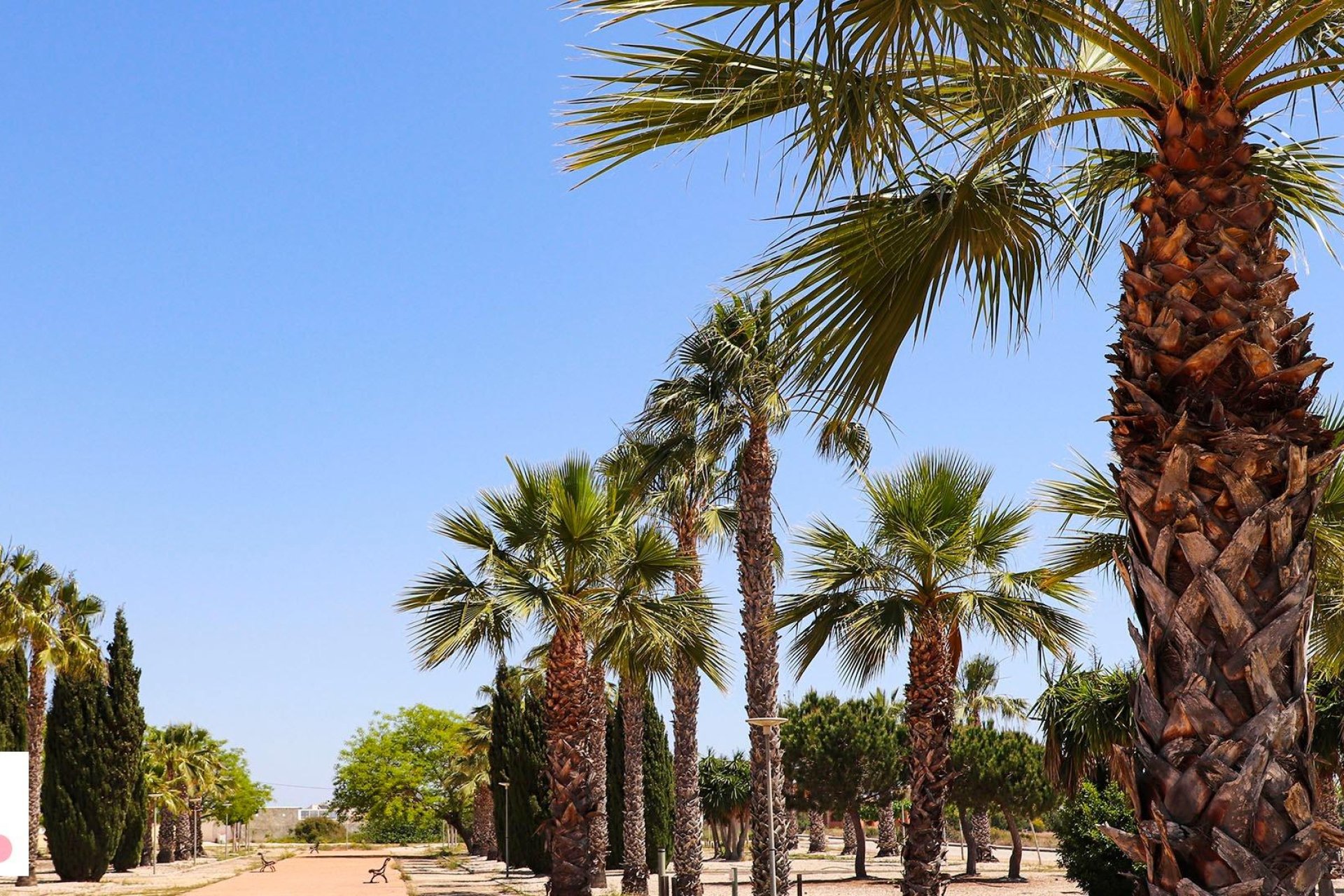 Construcție nouă - Vilă -
San Fulgencio - La Escuera